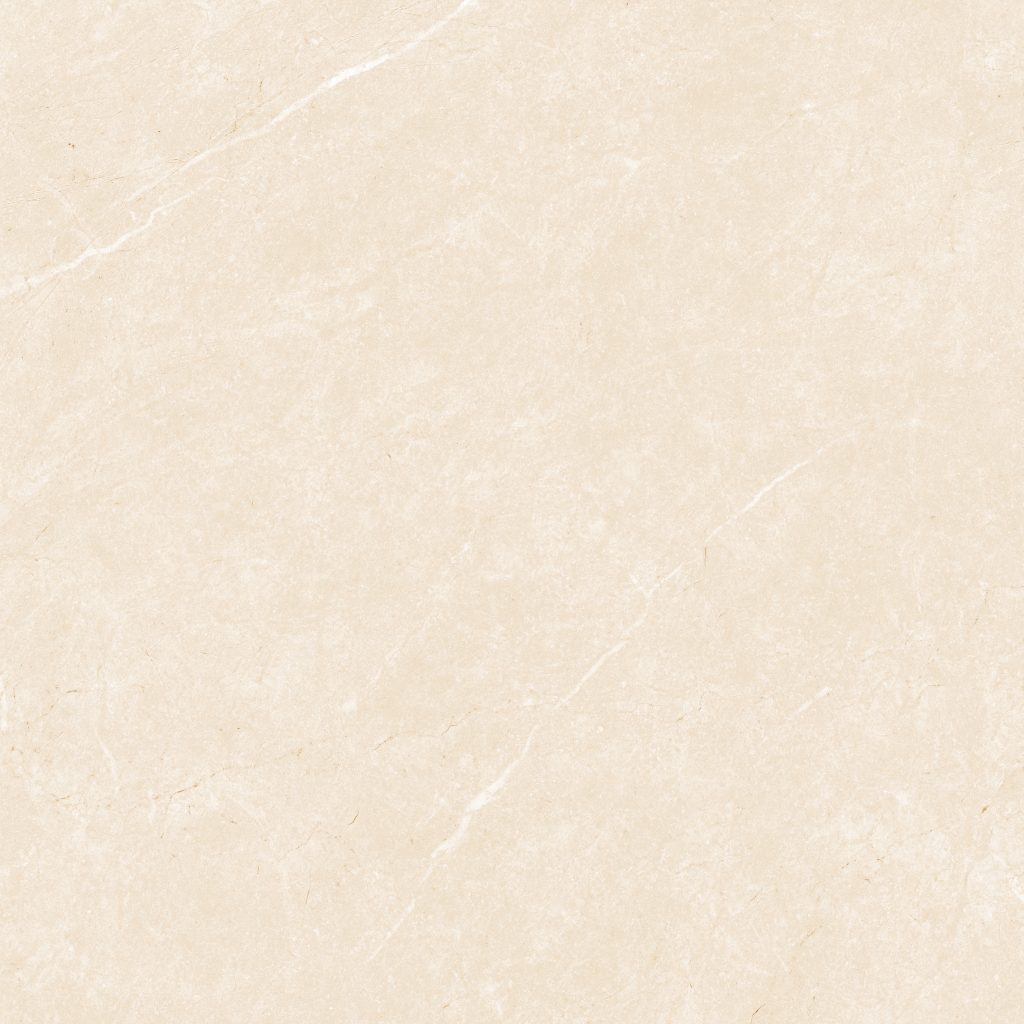 Gạch lát nền Việt Ý 600x600 GA-M66011