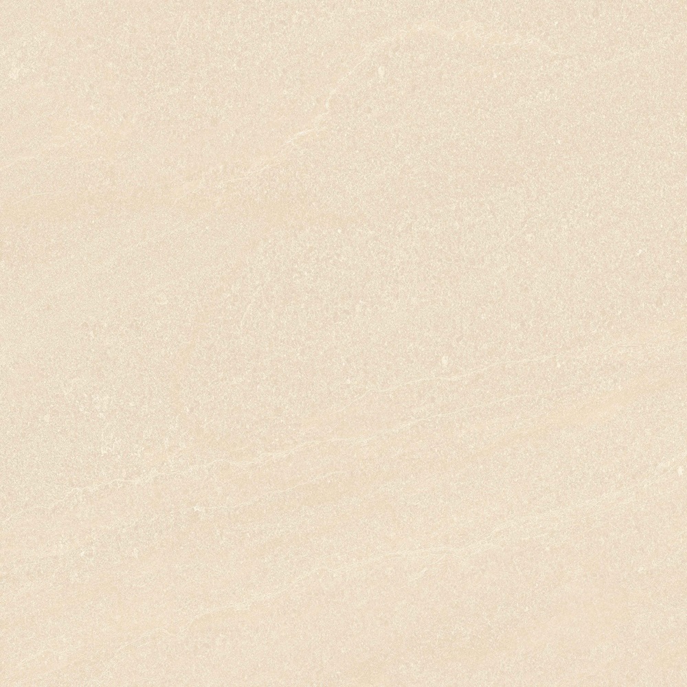 Gạch lát nền Việt Ý 600x600 VY1-M66009
