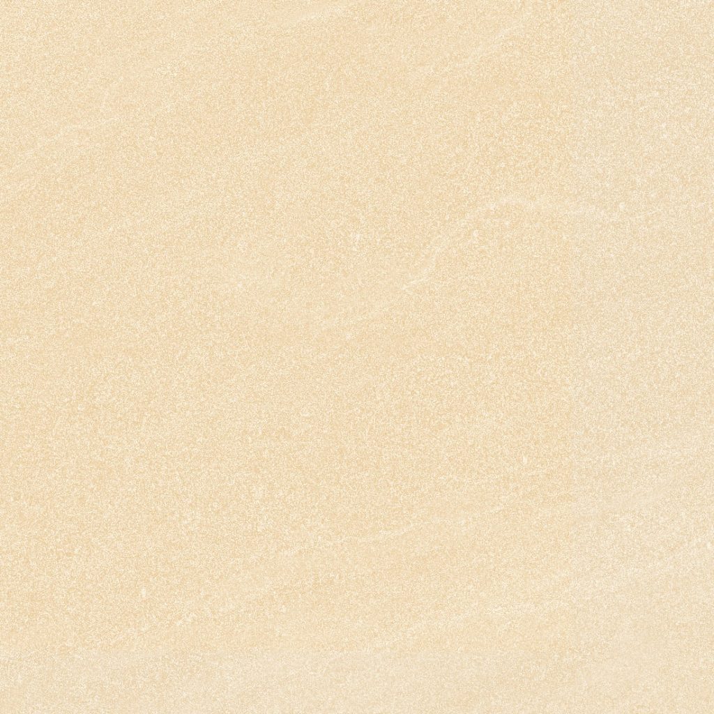 Gạch lát nền Việt Ý 800x800 VY1-M88009