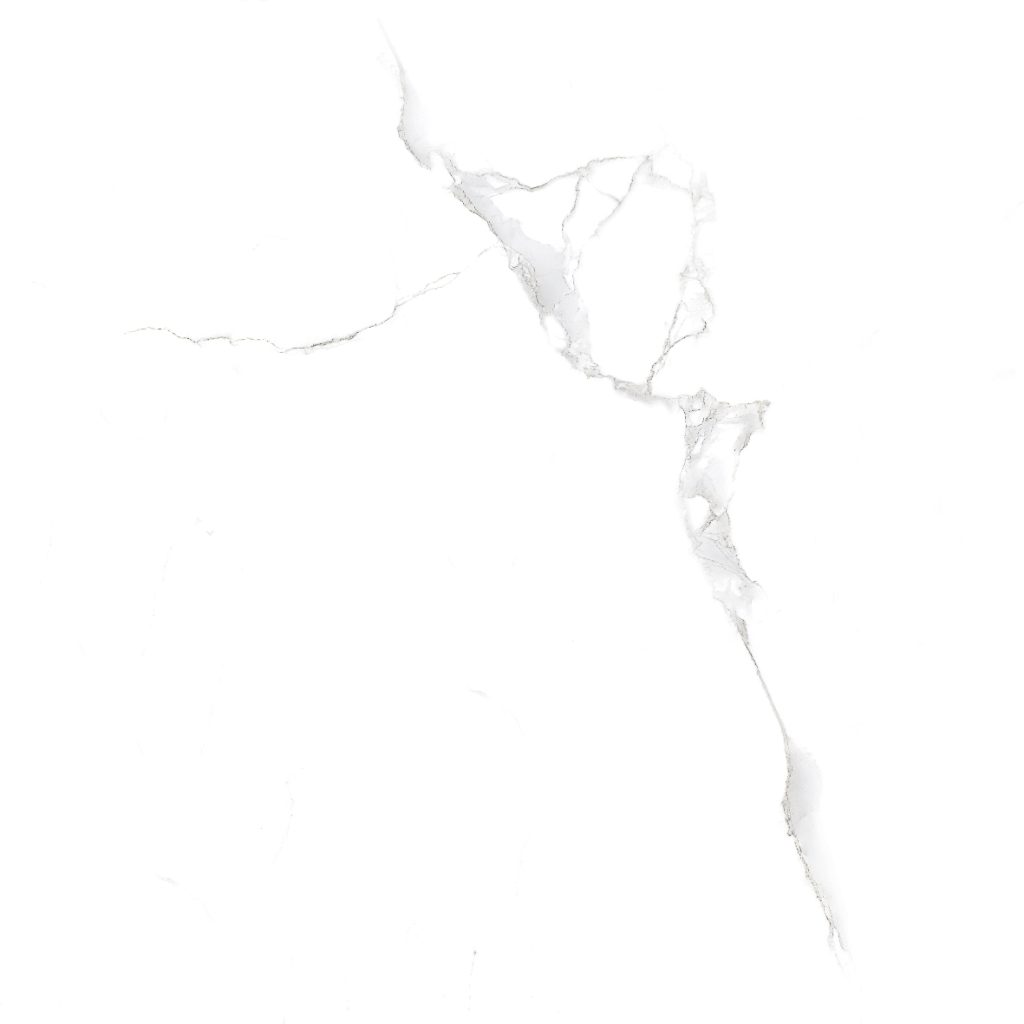Gạch lát nền Việt Ý 600x600 VY1-P66001