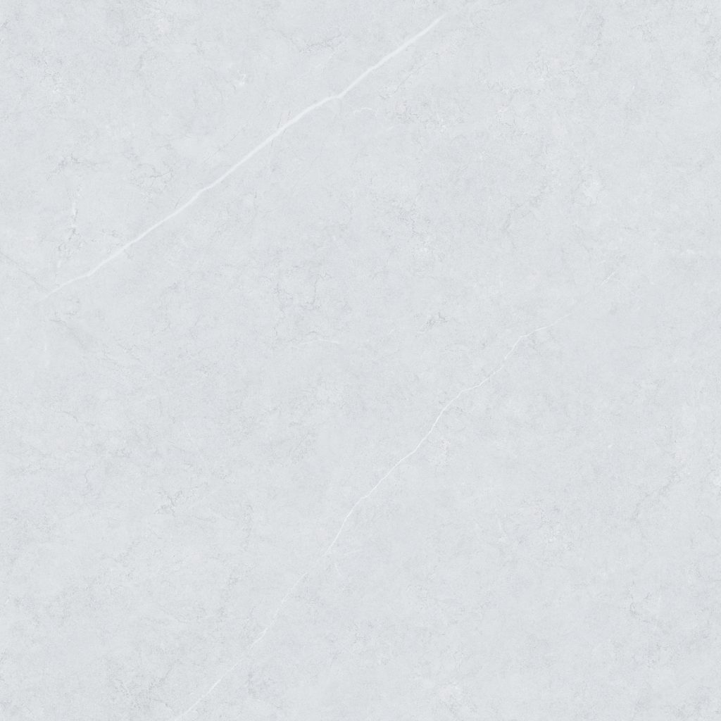 Gạch lát nền Việt Ý 600x600 VY1-P66004