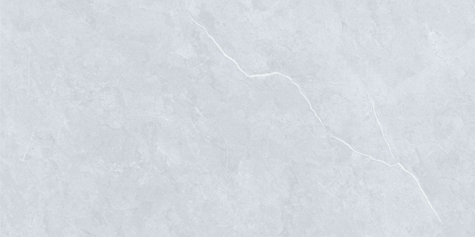 VY1-M48007