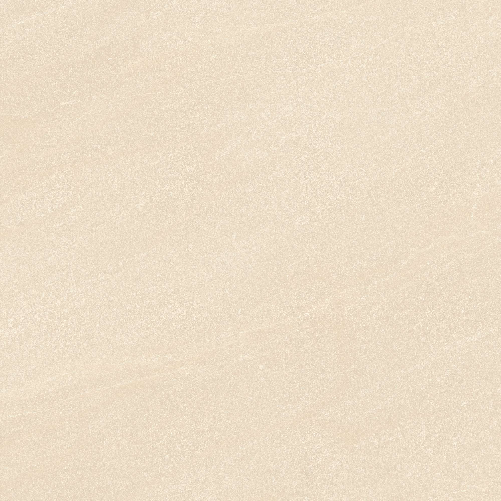 VY1-M66009