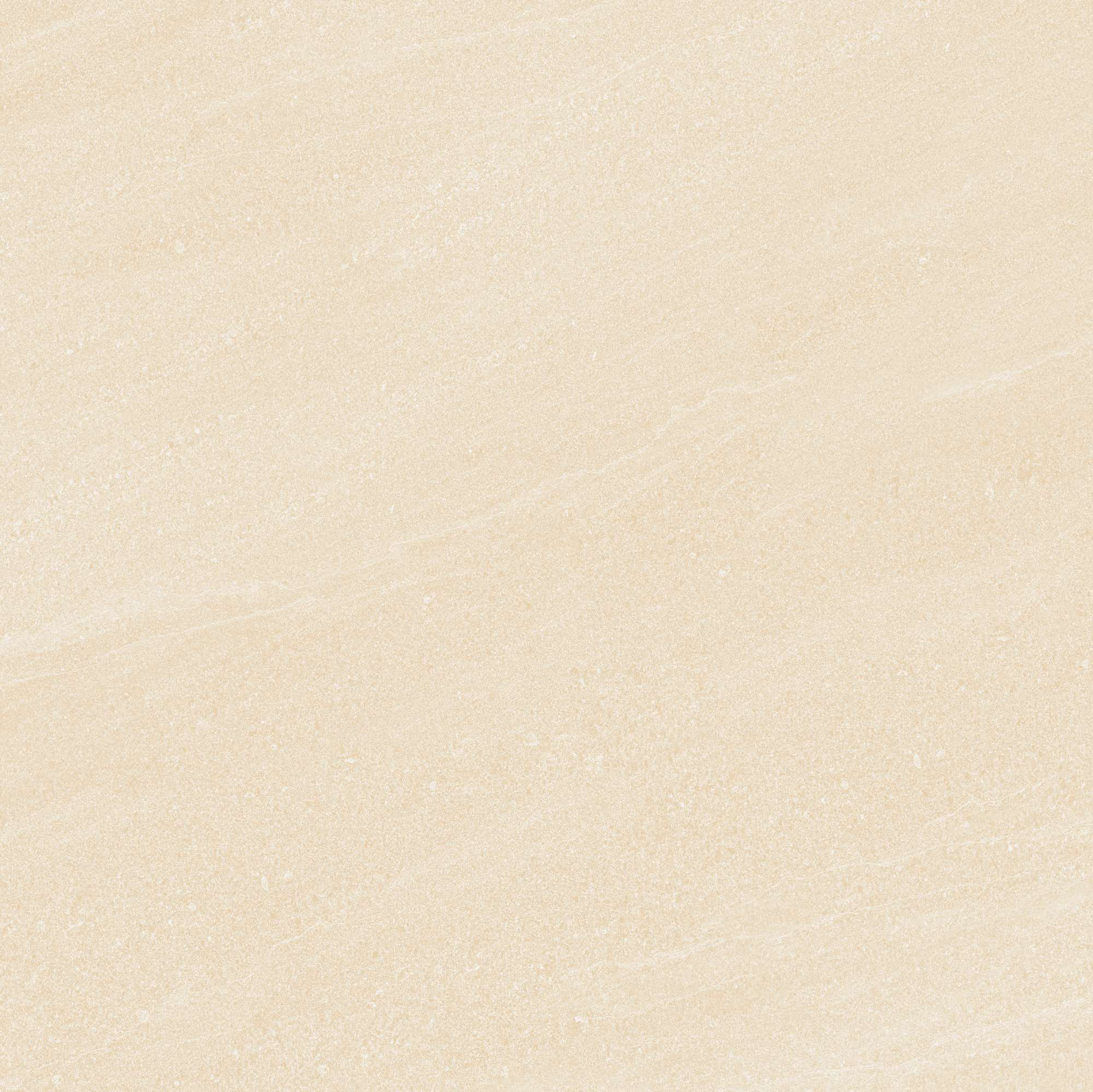 VY1-M88009